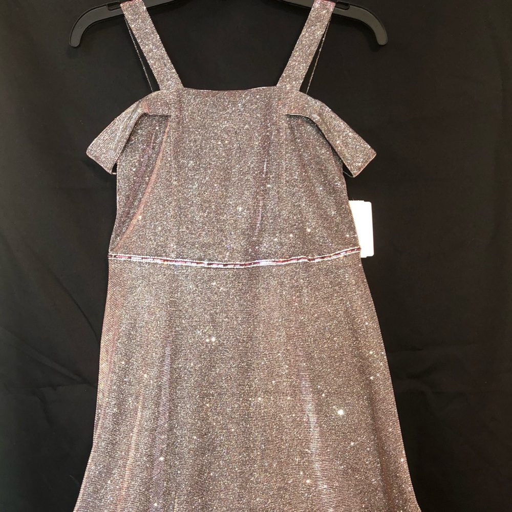 Poppies and Roses Glitter Dress